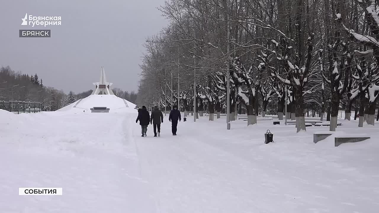 Пик сезонного подъёма заболеваемости вирусными инфекциями на Брянщине уже пройден, однако специалисты предупреждают, что отменять ограничительные меры пока рано
