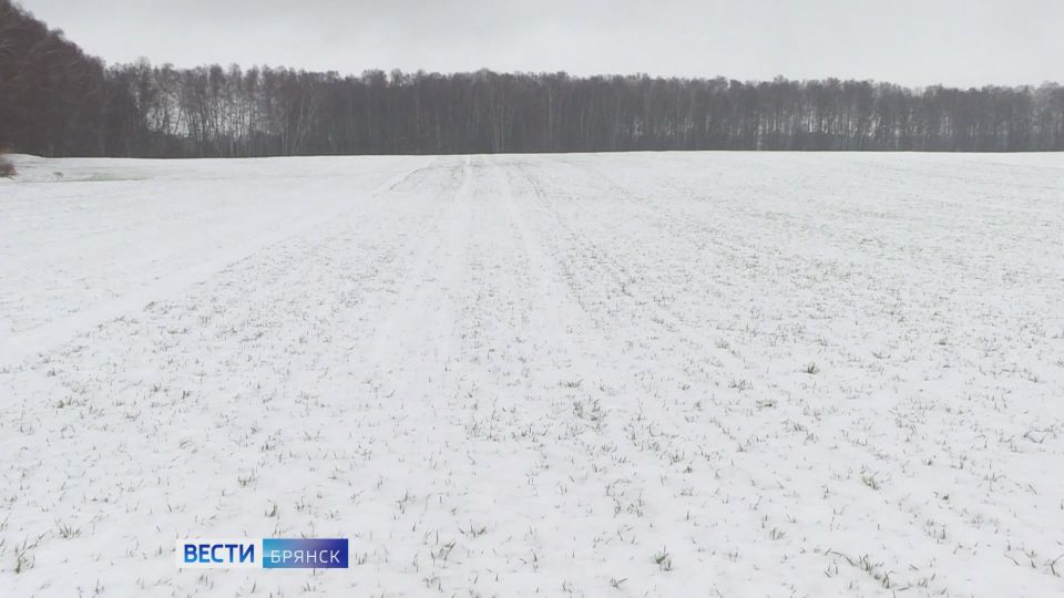 ������ ��������� ���� � ������� ���������