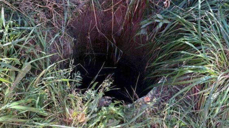 �������� ����� �������� 100 ����� ������ � ���������� �� ������� ������� � ���