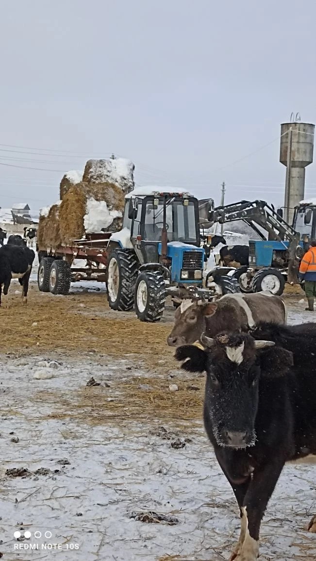 Глава администрации Мглинского района Михаил Ходин посетил колхоз "Дуброва" Глава администрации Мглинского района Михаил Ходин посетил колхоз "Дуброва"