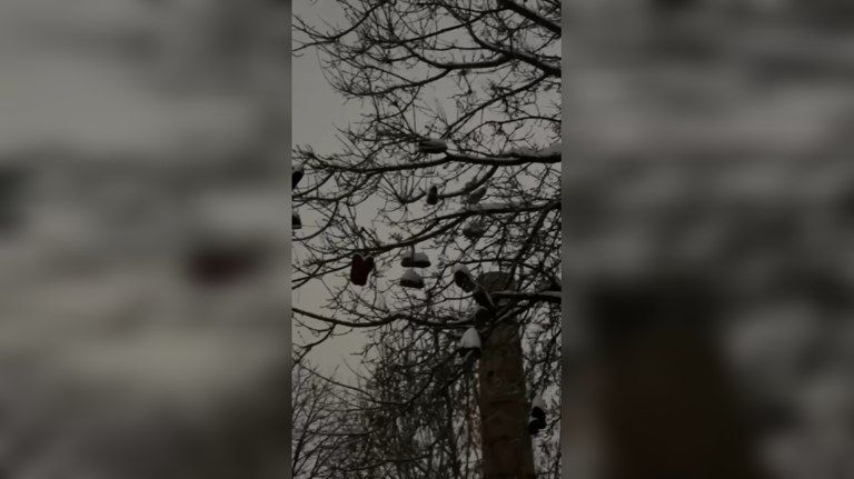 ������ � ������ � ����� � ������� ������� ������� � �������