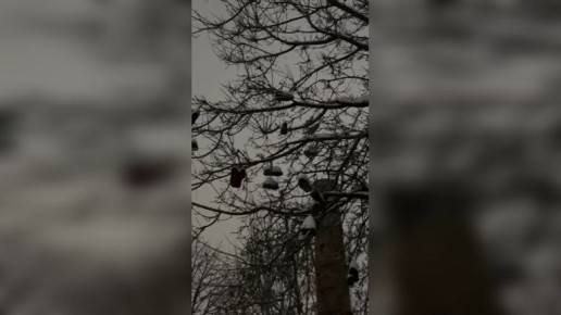 ������ � ������ � ����� � ������� ������� ������� � �������