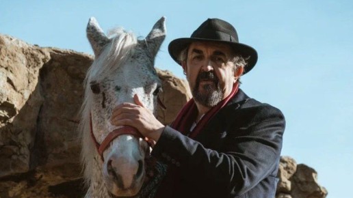 ��������� ������ �����-������ ���� ����� ������������