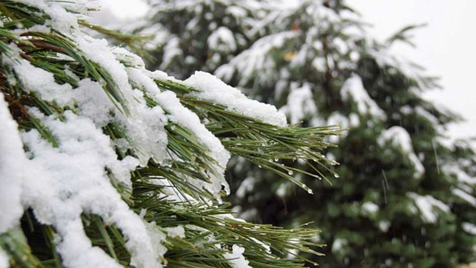 �������� ����������� �� ��������� ��������� � �������� ����������� ��-�� �����