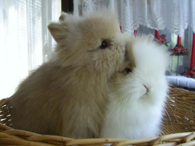 ������ � �������� � ������ ������: ��� ������� �� ����� ����������?