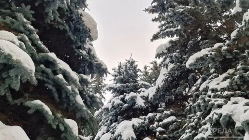 ������, 15 ������, � �������� ������� ����� ����������� �������� ������