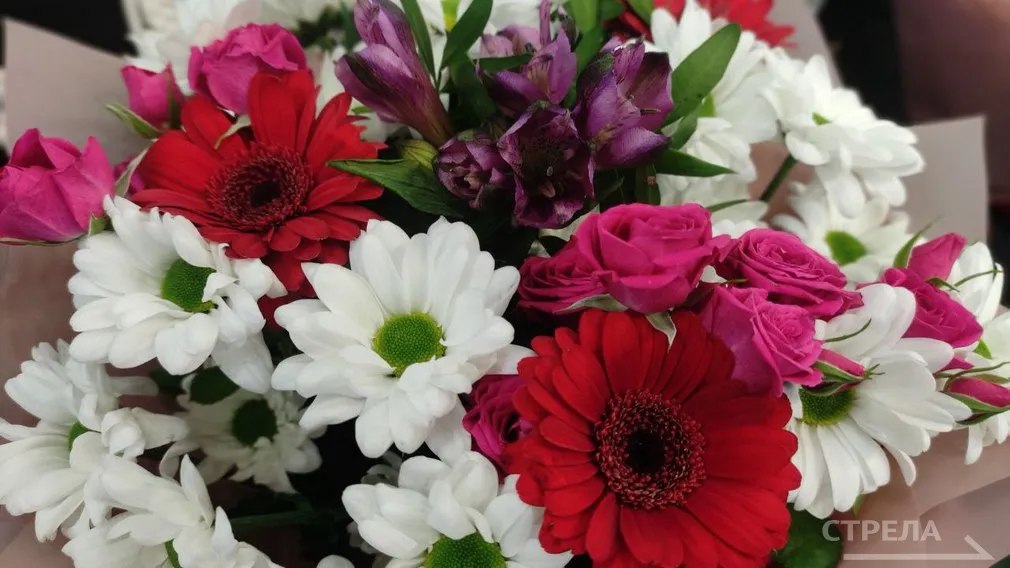 Двух жителей Брянской области отметили высокими государственными наградами