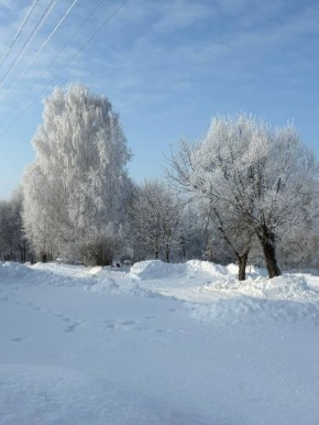 Зимние пейзажи Дятьково от наших подписчиков