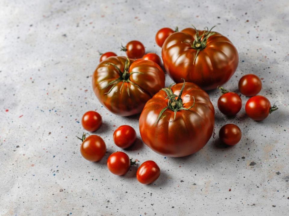 Томаты Кумато: полезнее черники и очень вкусные