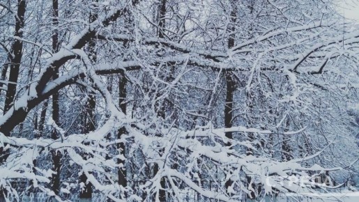 ������, 16 ������, �� ���������� �������� ������� ����� ������� � ������������