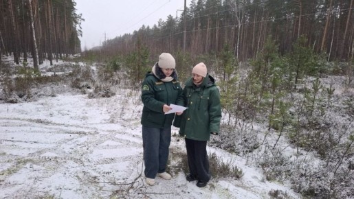 � �������� ������� � �������������� ������ �� ������������� ������� ���������� ����� ����