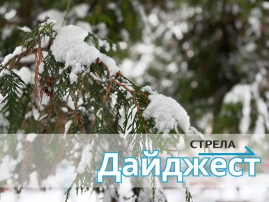 �� 14 ������. �������� ���������� ����� � ��� ��������-�������� ���� �������� �� ������ ���� -