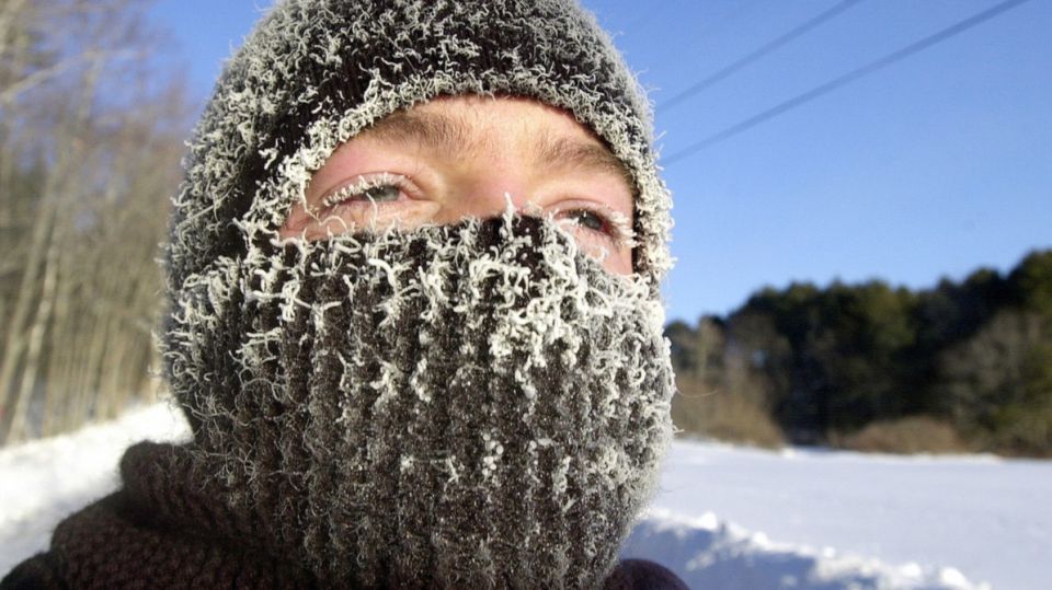 �������� ����� 20-��������� ������ ������� � �������� �������