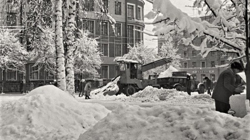 ������� ��������, ��� 55 ��� ����� ������� ���� �� ������� ������