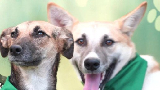 � �������� ������� ���� �������� ����� � ����� ��������� �������� �� ����