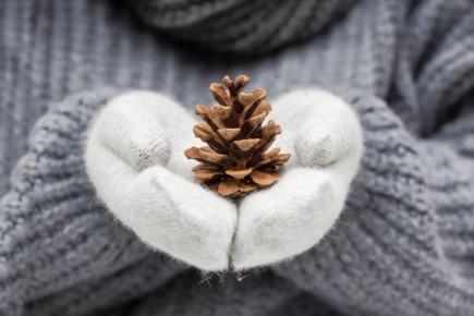 ������ ���� ������ � ����� ��������������� ���������� ������!