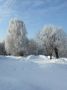 Зимние пейзажи Дятьково от наших подписчиков
