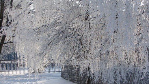 � ������� �� �������� ������ ����� 30-��������� ������