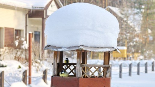 ������ ������� ������ �������� � ������ �������� ������� ������