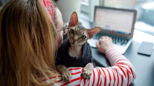 � �������� ������� ������ ������������� �������� � ������� ����� � ��������� ���������