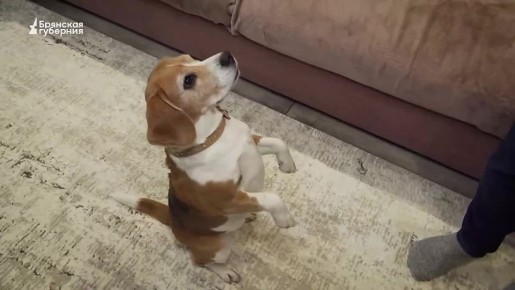 ��� ����! ������ 73. ��� ��������, ��� ����� ������ ��� ����� � ������� ������ � �������� � �� �����