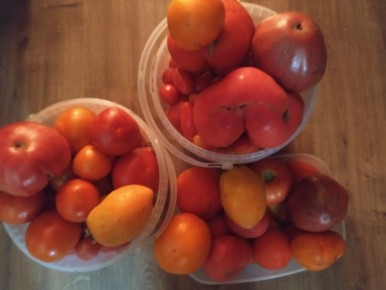 ������� ��������� ������: ��� �������� ���������������� ������ ��� ������� �������