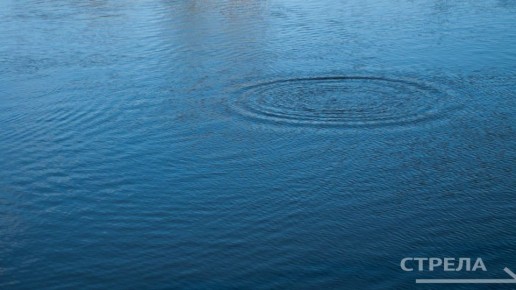 � ���������� ��������� � �������� ������� ����� �������� 45 ���� �������