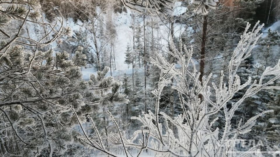 ������, 18 ������, � �������� ������� ��������� ���������� ����������