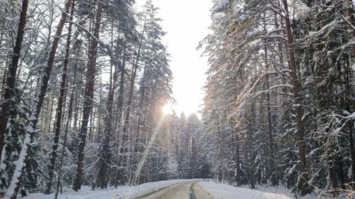 ���������� ������ ������� ������ �������� ���������� � ������������