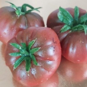 ����� ����� 29: ������ ������, ������� ������ ����� ������