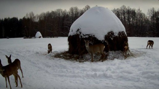 ������� �������� ������ ��� ������� ������ ����� � ����� �� �������