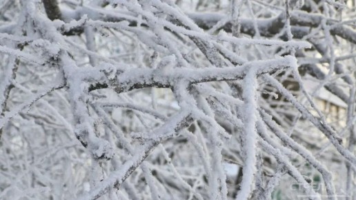 � �������� ������� ������������ �������� ���, � 19 ������ �� ������ �����������