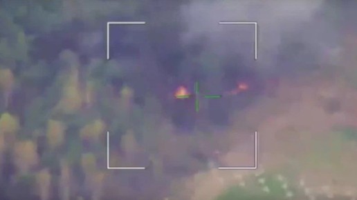 ���������-̻ ���� �������� ������� �� ������ ���������� �������� ����������