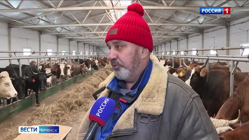 ���������� ������ ������ ���������� � ������ ������������ ��������