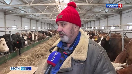 ���������� ������ ������ ���������� � ������ ������������ ��������