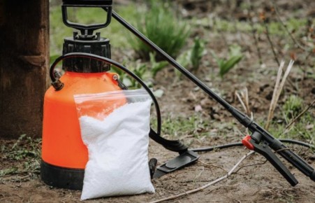 ������� ���� �� �����: ��� ��������� ��������� ������� ���� ������� �� �������� � ����������