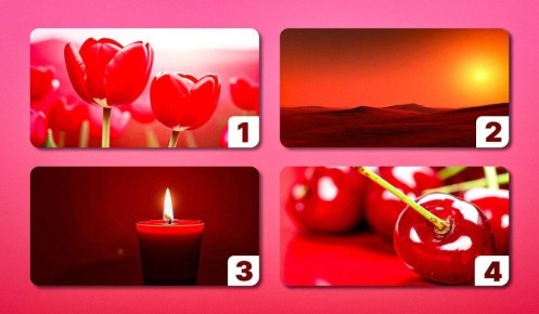 ��� ������� ������� �������� ����� �������� ���� ��������