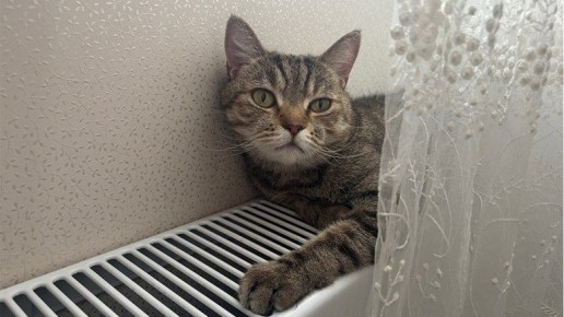 �������� ������ ������������ � ������� �������� � ���������� � ����� �����