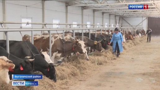 ���������� ������ ������ ���������� � ������ ������������ ��������