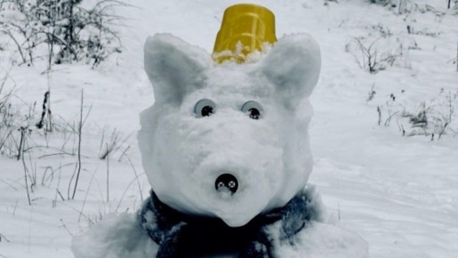 � �������� ������� ������������ ��������� ���� 20 ������