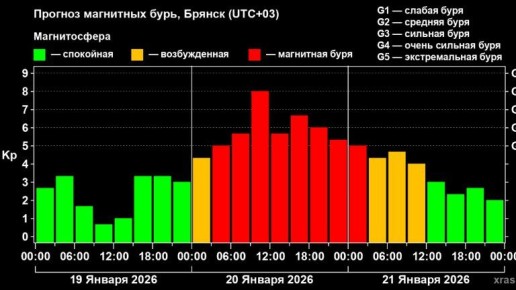 ������ ��������� ���� ������� ������ 20 ������