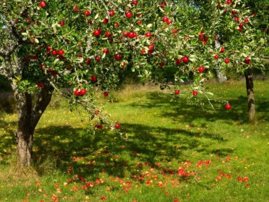 �������� �������: ������������ ��������� ��� ������ ������