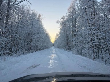 ���� � ����� ������ � ��� ��������� ����������! ������ ���� ������ ��� ������ ������� ��������, ���������� �� ������