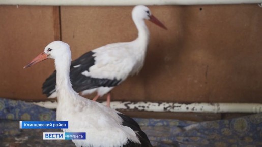 � ���� ������� ������������ ������ ���������� ��� ����� �����