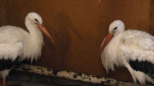 �������� ����� ������� ������� ��������� ����� ��� ������ � ������ ��������