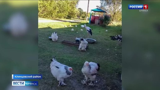 � ���� ������� ������������ ������ ���������� ��� ����� ����