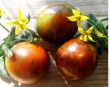 Полосатый рейс: секреты успешного выращивания уникального томата