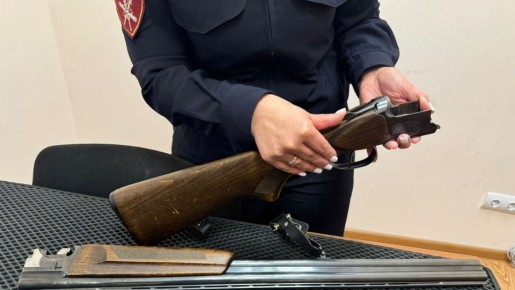 Брянские росгвардейцы за неделю изъяли у граждан 20 "стволов"