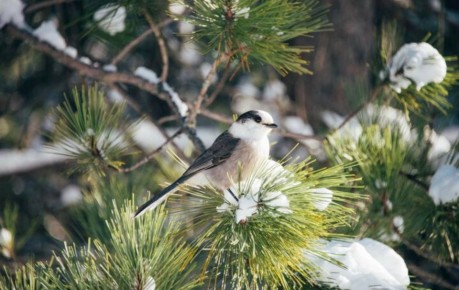 ������ ����, ������ � ����� ��������������� ���������� ������!