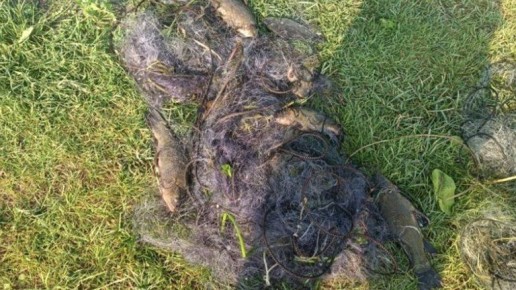 �������� ����������� ���������� ����� ��������� ���������� �����������